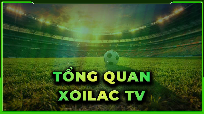Xoilacvn Tivi – Thế giới bóng đá online sống động cho fan cuồng