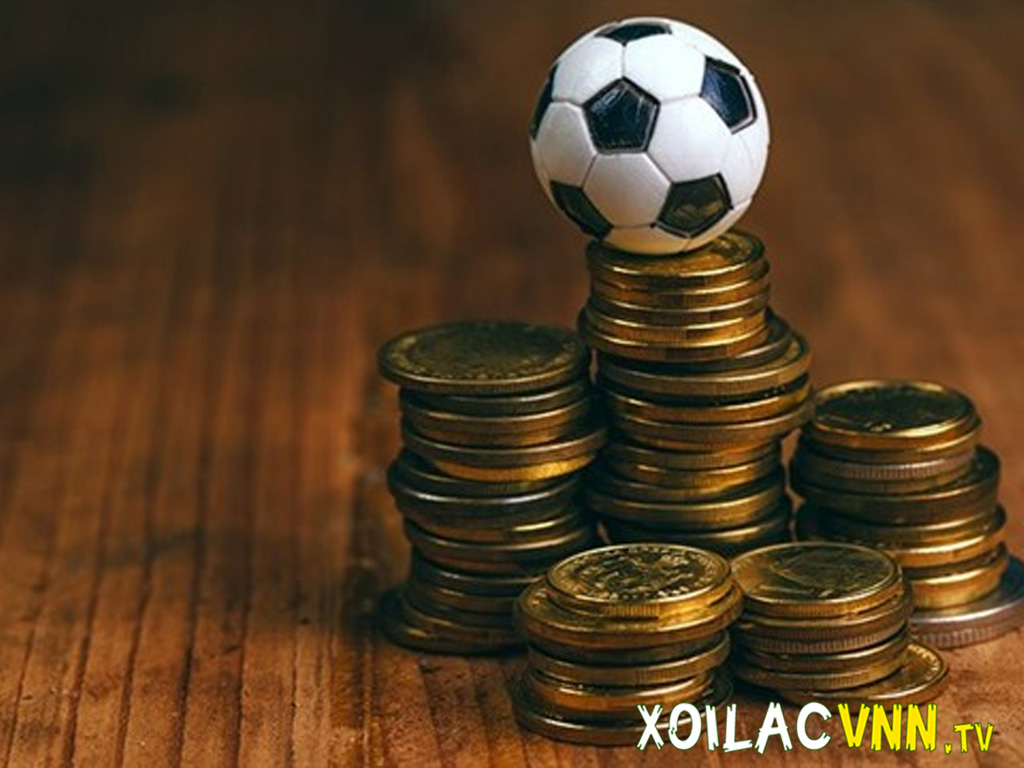 Cá cược bóng đá: Cách đọc kèo từ xiên 4 đến cược thắng áp đảo