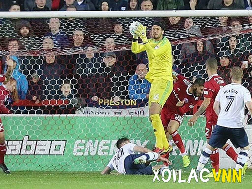 thu-mon-dan-mach-co-chieu-cao-vuot-troi